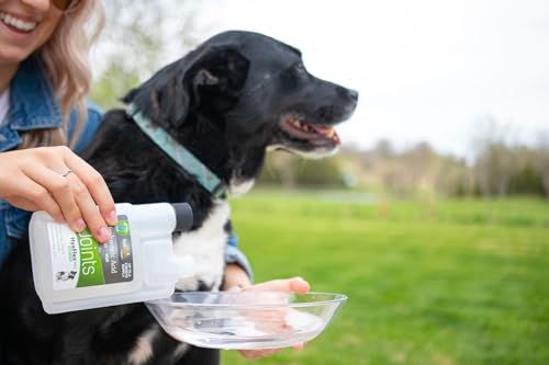 Hyalogic HyaFlex Pro-Complete Dog Joint Supplement, Canine Joint Support – Hyaluronic Acid Joint Supplement for Dogs –w/Glucosamine MSM Supplement 30-60 Day Supply, Cartilage & Coat Supplement