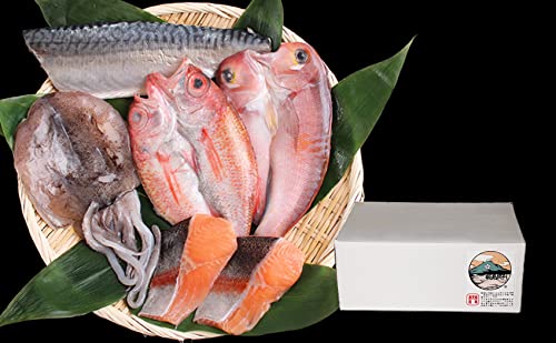 無添加 魚介類 加工品 桜島灰干し 干物 ひもの おつまみ 鹿児島 手作り ギフト (プレミアムセット) 冷凍お届け