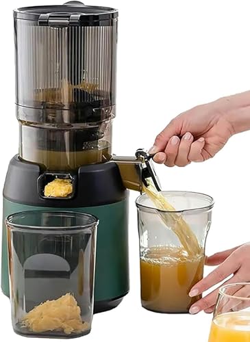 SXYKXYDL Licuadora Profesional de 300 W, prensado en frío, masticable, con Boca de alimentación de 13 cm para Frutas, Verduras y Frutas.