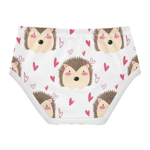 Cotton Girls Underwear Toddlers Cute Hedgehogs Pink Hearts Panties for Girl Colorful Kids Briefs Undies 2t2