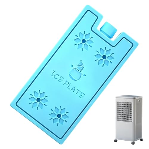 Blocs réfrigérants réutilisables pour glacière de camping et pique-nique (Lot de 4 packs)
