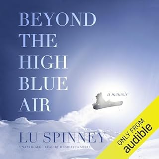 Beyond the High Blue Air Audiolibro Por Lu Spinney arte de portada