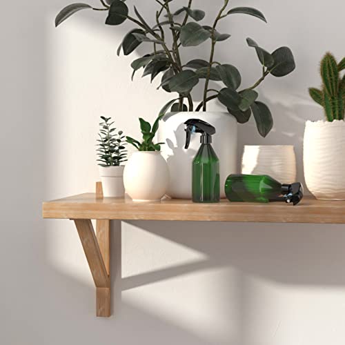 image for LONGWAY 10 Oz (300ML) Plastic Empty Spray Bottle | Mist Trigger Spraye