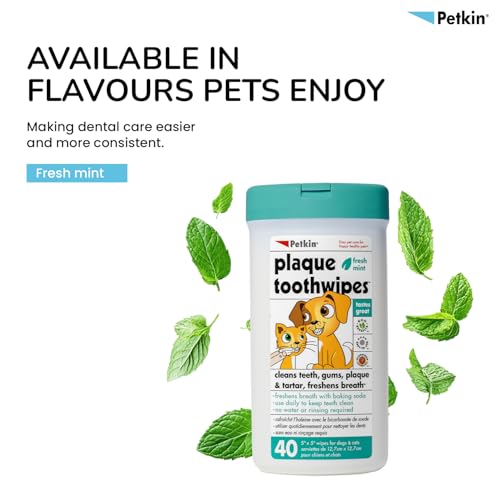 Image of Petkin Plaque Fresh Mint Toothwipes 80 Count Dog & Cat Dental Cleaning | Fresh Mint Dental Wipes