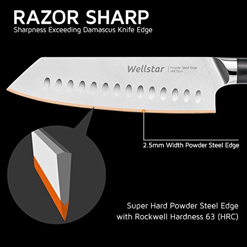 Wellstar Kiritsuke Chef Knife, 7 In Vegetable Meat Kitchen Knife With Razor Sharp Powder Steel Edge And Rust-Resistant 304 Stainless Steel Blade Infused With Copper And Military Grade G10 Handle #TOP2