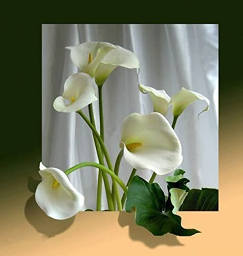 Peinture à broder au diamant cristal Lys calla - Kit canevas strass adultes 30x40 cm