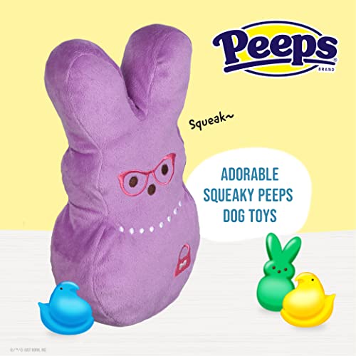 Juguete de peluche Bunny 12 pulgadas para perros miniatura 5
