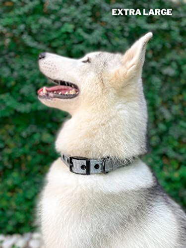 Tuff Pupper Heavy Duty Dog Collar With Handle | Ballistic Nylon Heavy Duty Collar | Padded Reflective Dog Collar With Adjustable Stainless Steel Hardware | Convenient Sizing For All Breeds #TOP7