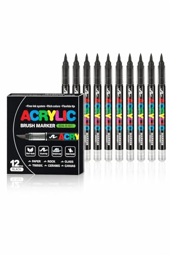 SYACOLOR 12 feutres acryliques noirs, feutres à pointe fine flexible et précise, encre opac superposable, cahier de coloriage, verre, céramique, roche,...