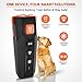 Pup Control Ultrasonic Dog Trainer - Ultrasonic Bark Deterrent, 4 Modes - Black