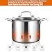 DELARLO Tri-Ply Stainless Steel 8 Quart Stock Pot, Heavy-Duty, All Stove Compatible, Up to 600℉ Soup Pot with Lid, 18/10 Induction Big Stockpot with Lids, Large Stainless Steel Induction for Cooking