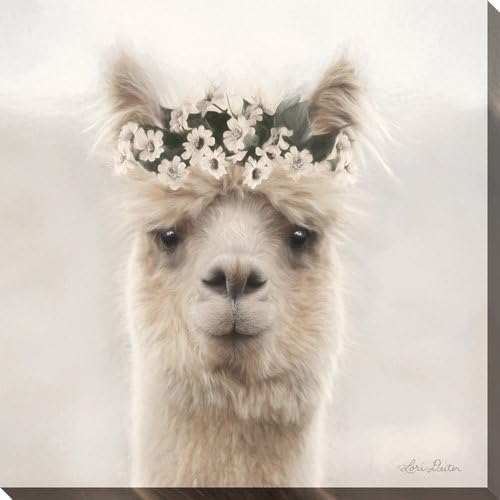 Alpaca with Flowers, 24" x 24" Print on Canvas Wall Art