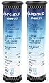 Pentair OMNIFilter TO1 Carbon Water Filter, 10-Inch, Standard Whole House Carbon Wrap Sediment and Taste & Odor Replacement Filter Cartridge, 10" x 2.5", 5 Micron, Pack of 2