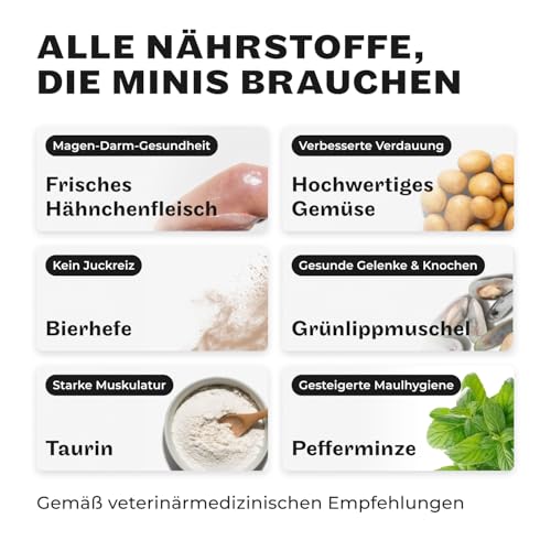 HEY HOLY Premium Nassfutter für Minis | 6X 400g Hundefutter für ausgewachsene Minis mit Huhn | Hochverträglich aus natürlichen Zutaten
