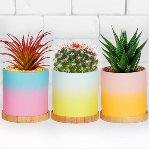 Funistree 7.5CM Handmade Ceramic Succulent Plant Pot Set, Valentines Cactus Plant Pots Gifts for Her, Valentines Day for Girlfriend Wife, Housewarming Gardening Birthday Presents for Friends