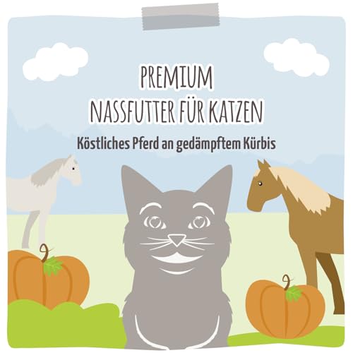 MjAMjAM - Premium Nassfutter für Katzen - Quetschie - köstliches Pferd an gedämpftem Kürbis, 12er Pack (12 x 125 g), getreidefrei mit extra viel Fleisch, 1101712