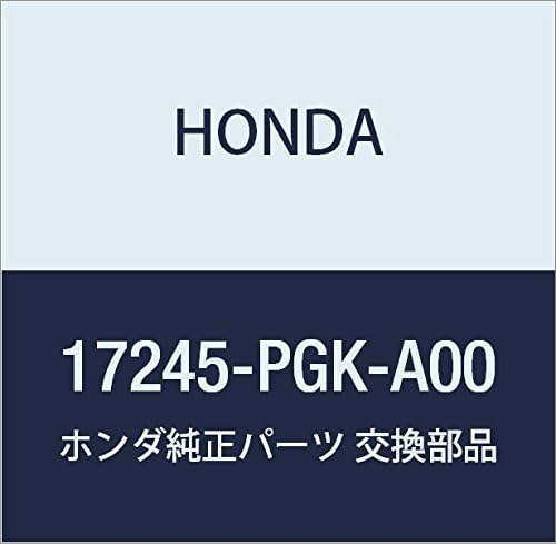 Genuine Honda 17245-PGK-A00 Air Cleaner Case Set