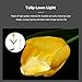 Uonlytech Solar Tulip Lamp Led Garden Lamp Tulip Shaped Outdoor Decor Easy Ground Insertion for Garden