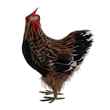 Abaodam Simulation Poulet Modèle Coq Figurine Ferme Jardin Décor Poule Pondant des Œufs Artisanat Ornement Statue Micro Paysage Poulet Coq Faux Œufs D'Entraînement Faux Poulets Mousse