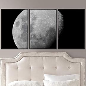 signwin 3 Piece Framed Canvas Wall Art Lunar...