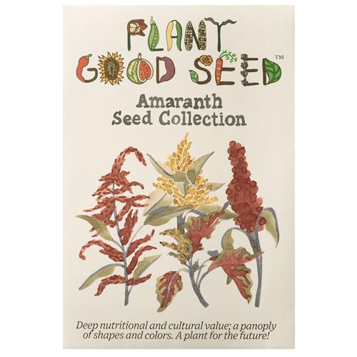 Plant Good Seed Organic Amaranth Seed Variety Pack: Heirloom Grains, Edible Leaves, Cut Flowers, Red Callaloo, Chinese Giant, Hopi Red Dye - Three Packet Collection / 600 Seeds Each