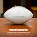 Autograph/Promotional Mini Football 6.5