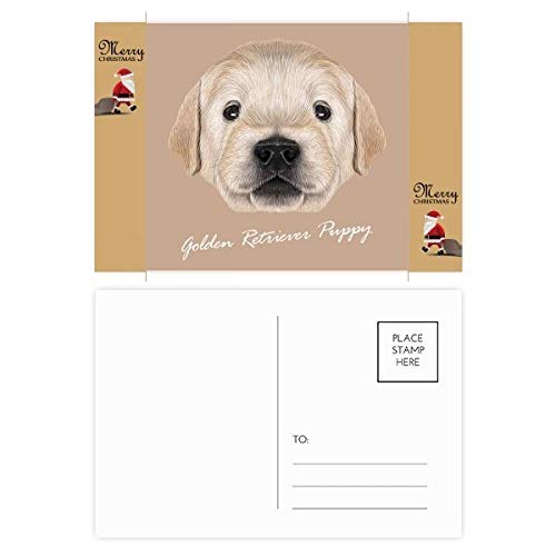 Cartes postales Golden Retriever remerciement : transmettez votre amour
