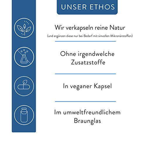 Vitalplant® Prosta Plant Kapseln im Braunglas | einzigartige Zusammensetzung aus Kürbiskernextrakt, Sägepalmenextrakt, Brennnesselwurzel – Bild 5
