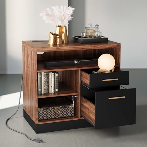 ModernMate 2 Drawer Wood File Cabinet, Filing Cabinet for Home Office with Lock, Power Strip,...