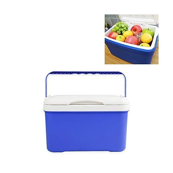 ZGQA-GQA Refrigerator Car Portable Mini Cooler 6L EPS Refrigerator Durable Car