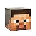 Minecraft Steve Head