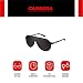 Carrera New Champion NR Guy Gafas de sol, Negro (Black Matte/Brown Grey),...