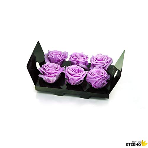 Mundo Eterno Rosa Eterna Preservada Cherry Blossom Pack Sin Tallo