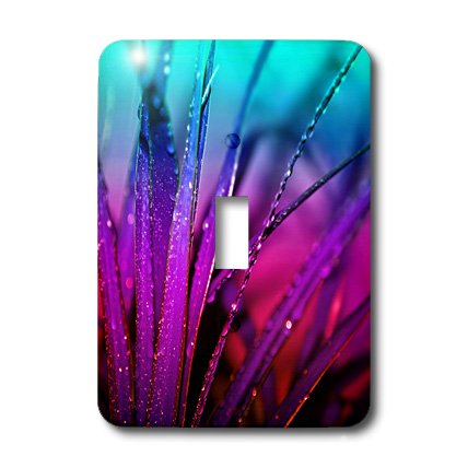 Interrupteur à bascule unique 3dRose cache-interrupteur décoratif feuilles aquas violets multicolore - 2