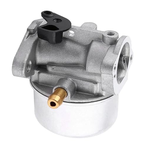 Carburateur pour Briggs Stratton 498254 résout les fuites d'essence et régule le ralenti