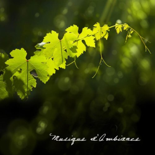 Amazon.com: Musique d Ambiance : Musique d Ambiance Series: Digital Music