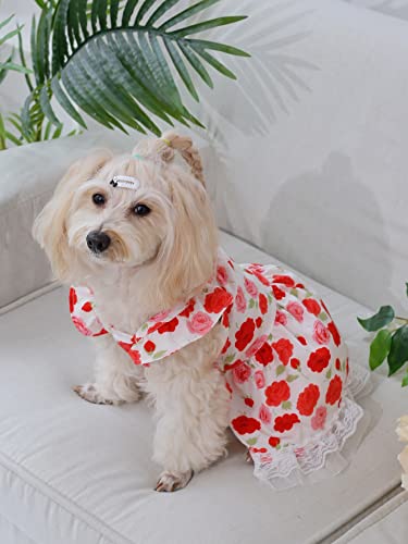 QWINEE Vestidos para cães com estampa de flores, decoração de renda, vestido de cachorro, com acabam