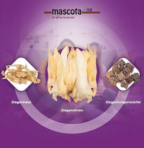 mascota vital - Getrocknete Ziegenohren für Hunde – 100% Natürlicher Kausnack, Schonend Getrocknet, Ohne Zusatzstoffe, Fördert Zahngesundheit & Langanhaltenden Kauspaß