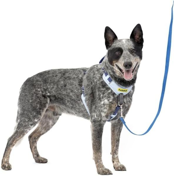 PetSafe Easy Walk Comfort No-Pull Dog Harness - Better Walk Train...
