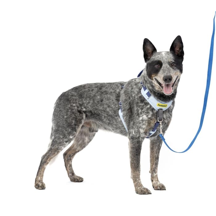 Easy Walk Comfort Harness