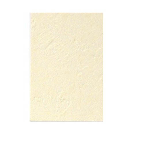 �T���Q�c �ǎ� �@�\���ǎ� �t�B��������h�~�E�R�� 5m RE-2786 ���U�[�u(AA)