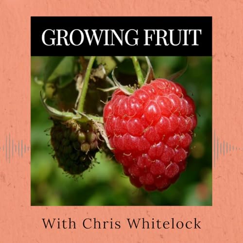 Episode 362: Growing Fruit