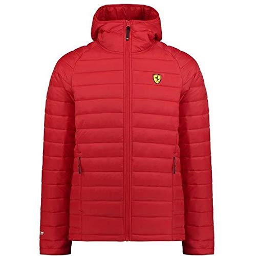 Veste courte-pointée Homme Ferrari Sf pour sorties urbaines et circuits