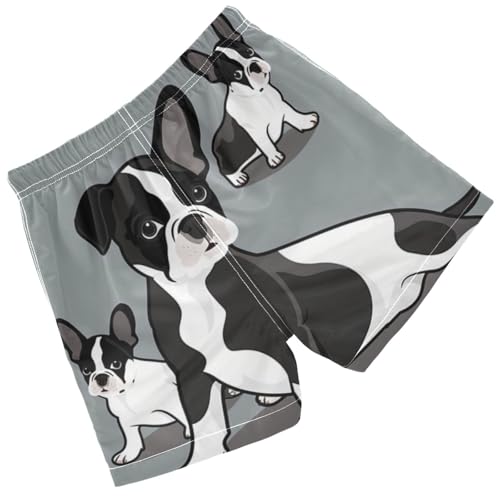 Pigsaly Boys Swim Trunks Cartoon Three Boston Terrier Dog Boys Board Shorts Swimsuit Swimwear Summer Bathing Suit 5T Multicolor2