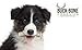 Buck Bone Organics Dog Chews, Elk Antlers for Dogs, Long Lasting Dog Bones for Aggressive Chewers, All Natural, No Preservatives, Wild Shed in The USA (Small 3 Pack)