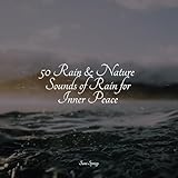 Lunar Rains