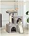 PAWZ Road Cat Tree, 30 Inches Cat Tower with Dual Condos for Indoor Cats, Plush Cat House with Padded Perch, Scratching Ramp and Posts and Replaceable Balls-Gray