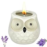 Alaoo Duftkerzen Geschenk, niedliche Kerzen, gefüllte Votivkerzen, Geschenke...
