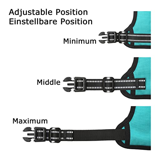 Image of HEELE Dog Harness Dog Harness Small Dog No Pull Harness wiht Soft Handle Reflective Harness Adjustable, Turquoise, XS