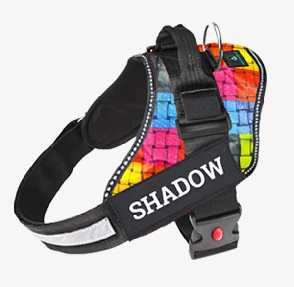 IndiHopShop Customized Dog Harness | Personalized Dog Harness with Dog Name | No Pull | Rainbow Bliss Color (L) (B0C5MZSX3V) Amazon Price History, Amazon Price Tracker